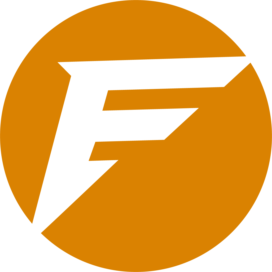 Logo Focus Fit F